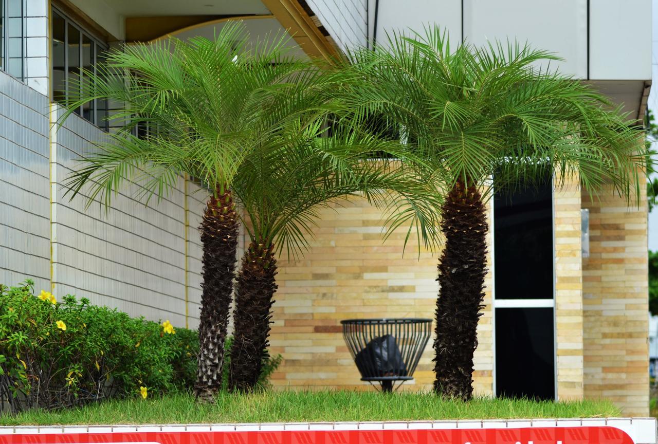 Hotel Ideal Teresina Dış mekan fotoğraf